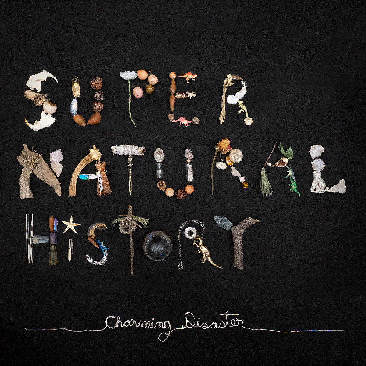 Another Chapter in The Great Book of Darkly Wistful Esoterica – Charming Disaster’s “Super Natural History”